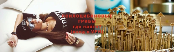таблы Карпинск