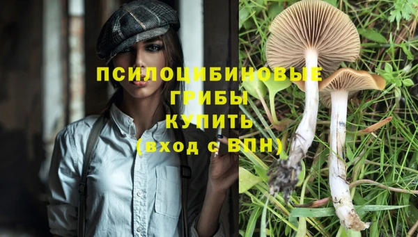 мдма Касимов