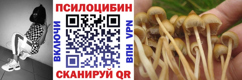 Купить где  Лыткарино  Псилоцибиновые грибы GOLDEN TEACHER 